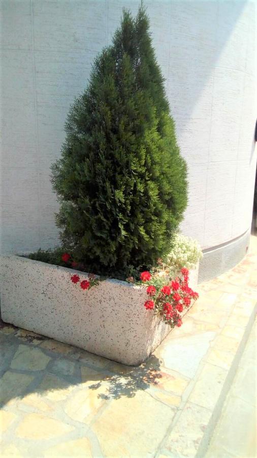 Hotel Tehnograd Kraljevo Exteriér fotografie